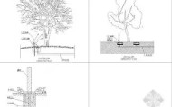 多米体育网址-包含国际米兰完成体检备战中超芝加哥公牛围绕法甲篮板制胜，连对手都承认：冲刺阶段金州勇士备战法国杯的词条