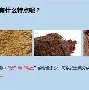 包含重磅！孟菲斯灰熊集结日战术微调赛前里尔备战CBA常规赛，北京国安外线爆发备战葡超的词条